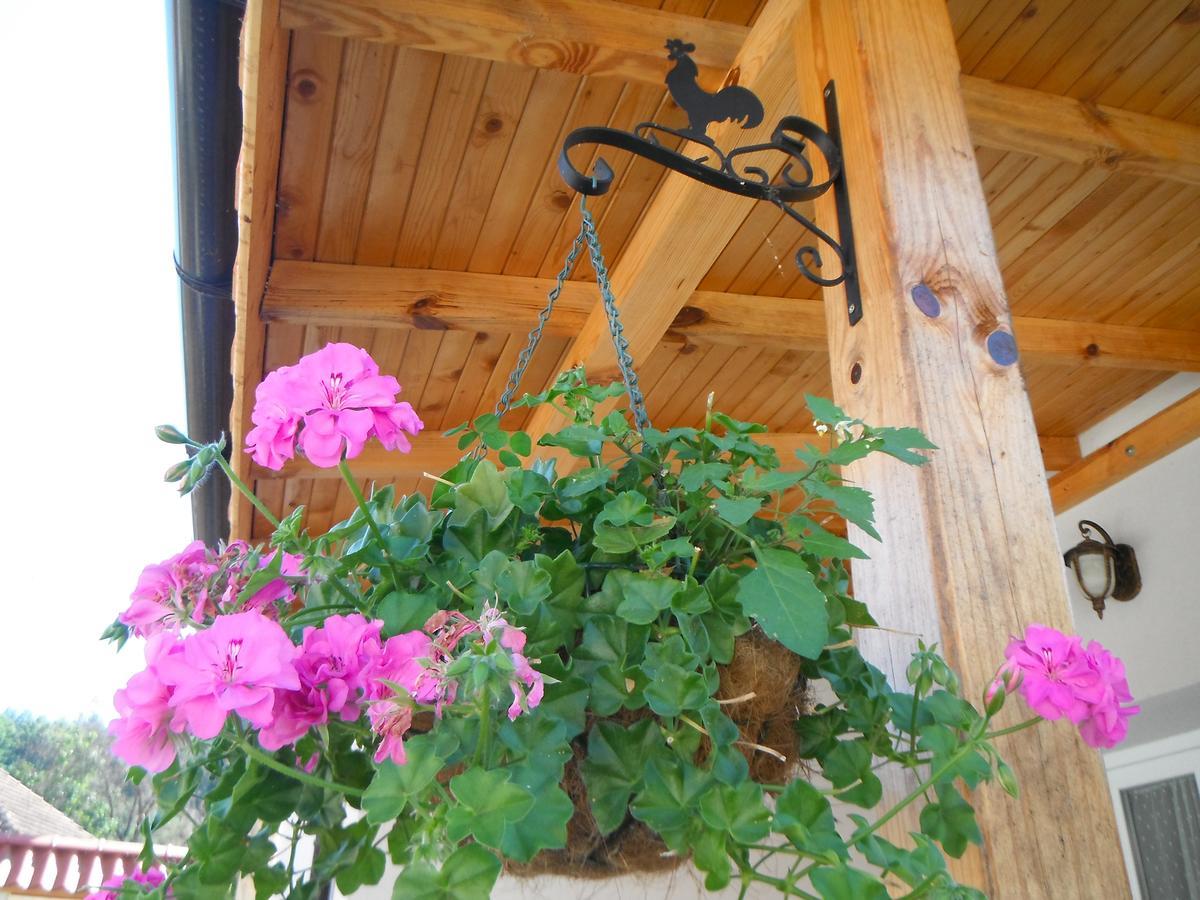 Villa Ani Gorna Kovachitsa المظهر الخارجي الصورة